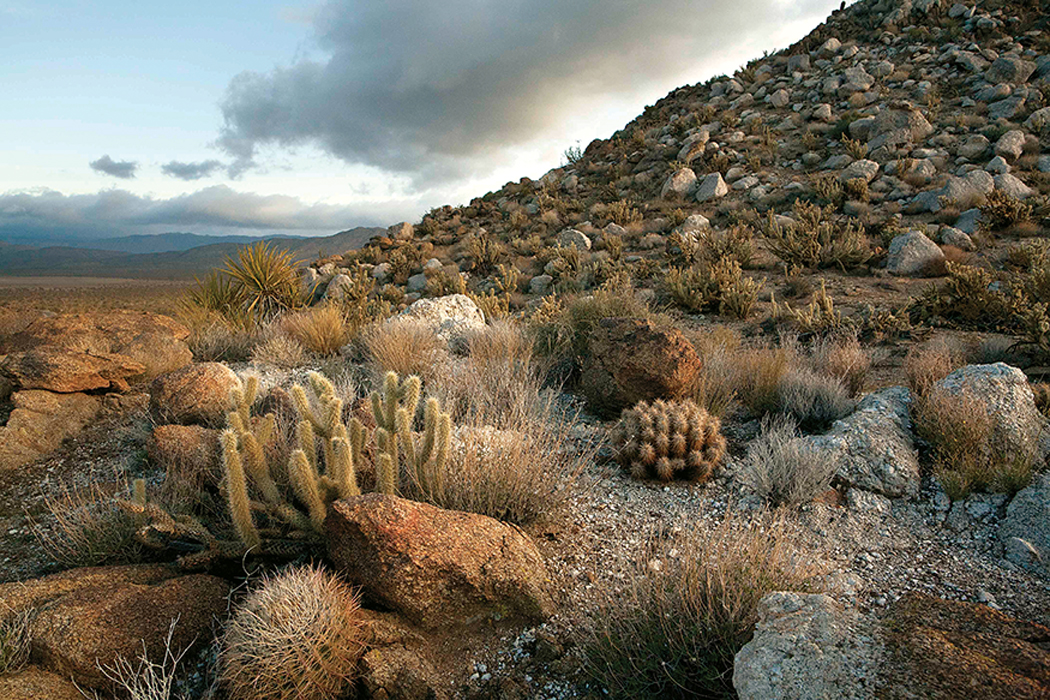 photographed by Bob Carroll Savor the beauty of BEST CAMPGROUNDS BEST FOR - photo 6