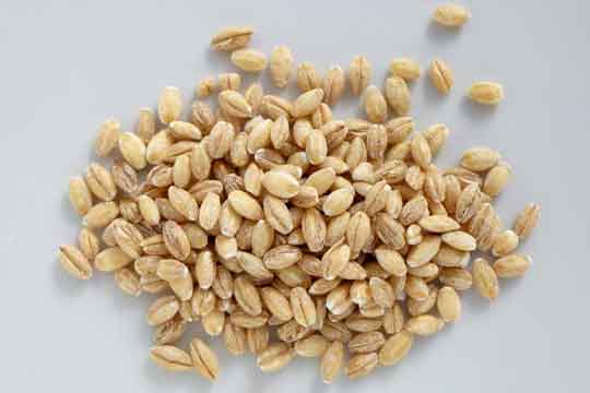 Barley grains are peeled and polished grains of different shapes and used for - photo 3