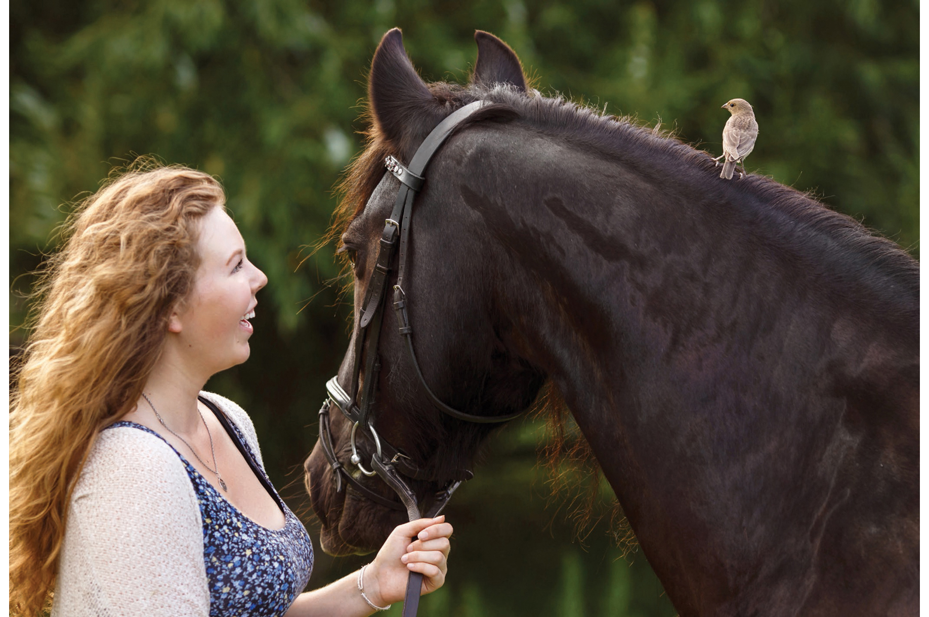 LENNA AND LOUIE Louie was Lennas first pony and first love This was her - photo 12