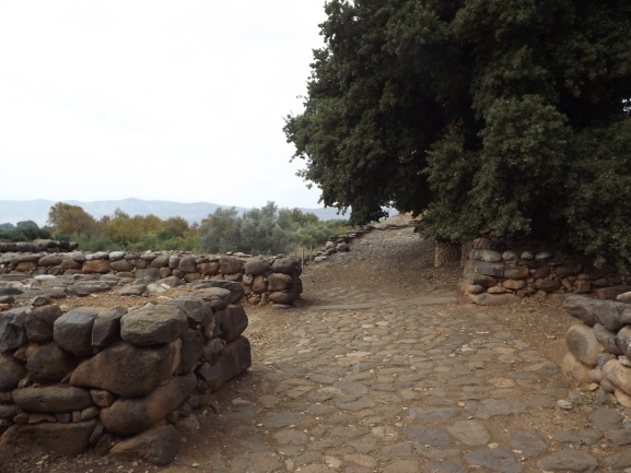 Ancient stoneroad at Tel Dan When wevisited Tel Dan in northern Israel my - photo 11