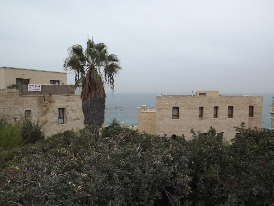 View of treacherous rocks along theMediterranean shore in Jaffa The first - photo 6