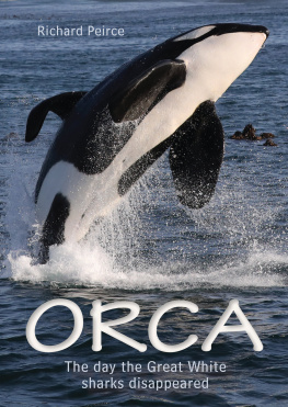 Peirce Orca