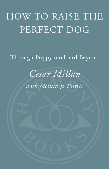 Also by CESAR MILLAN with Melissa Jo Peltier Cesars Way The Natural - photo 1