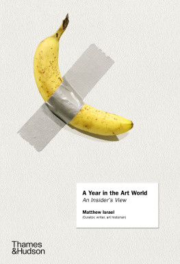 Matthew Israel - A Year in the Art World