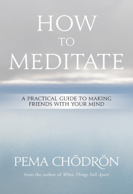 Pema Chödrön How to Meditate