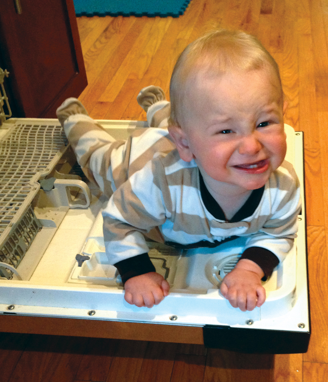 HE CLIMBED INTO THE DISHWASHER - photo 17