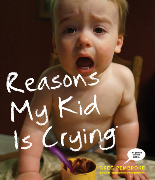 Reasons My Kid Is Crying - photo 1