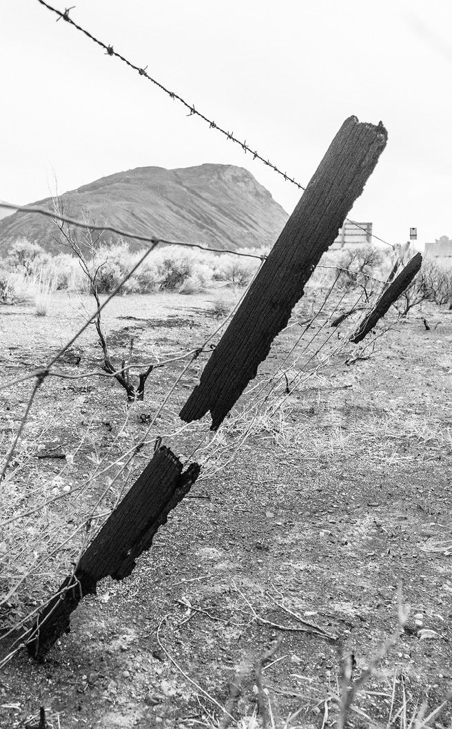 Fences were a common casualty during the fires Over a thousand kilometres of - photo 6