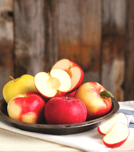 Apples from harvest to table 50 recipes plus lore crafts and more starring the tried-and-true favorite - image 2