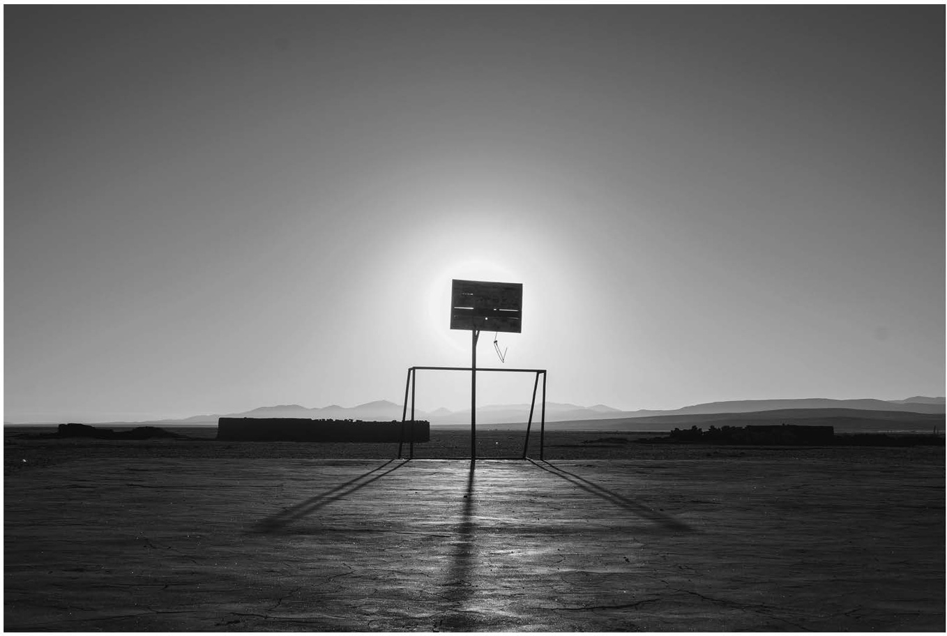 High altitude field near Uyuni Bolivia Image courtesy Christian Juica C - photo 5