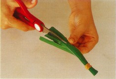 Use the scissors to snip the loose ends to make a brush Use the pandanus - photo 5