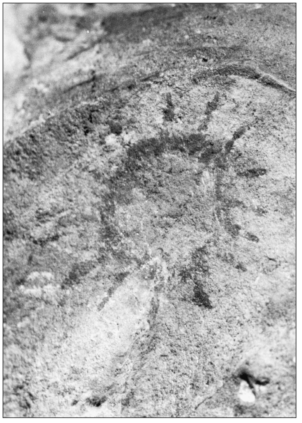 TATAVIAM ROCK PAINTING The earliest known residents of the Santa Clarita - photo 3