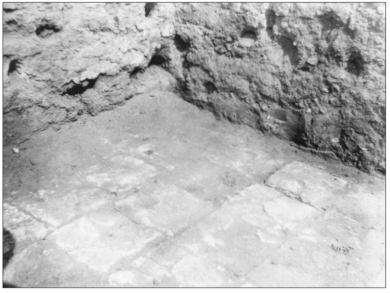 TILE FLOOR OF ESTANCIA The dig uncovered traces of two buildings with - photo 9