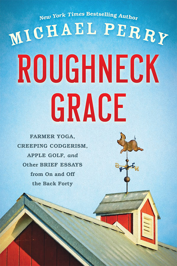 ROUGHNECK GRACE ALSO BY MICHAEL PERRY BOOKS Population 485 Meeting Your - photo 1