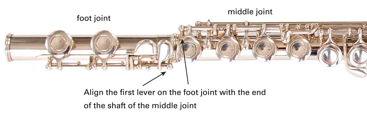 How to Hold the Flute Hold the flute with the palm of your left hand facing - photo 13