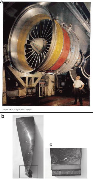 Fig 11 a RB 211 engine showing the fan blades b and c blade and - photo 1