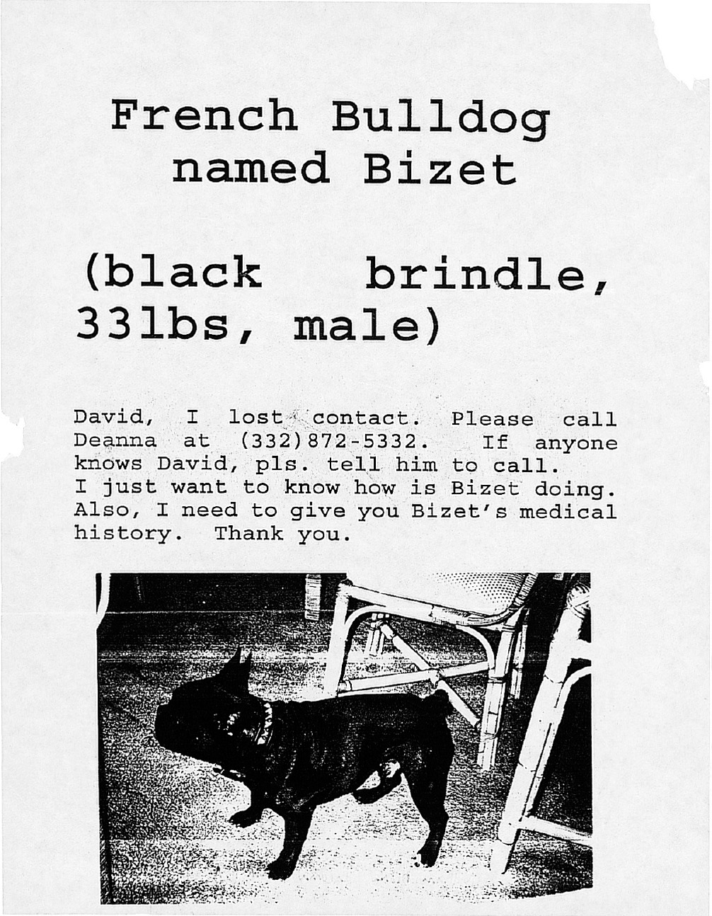 Is this a missing dog poster or a missing boyfriend Maryland USA - photo 18