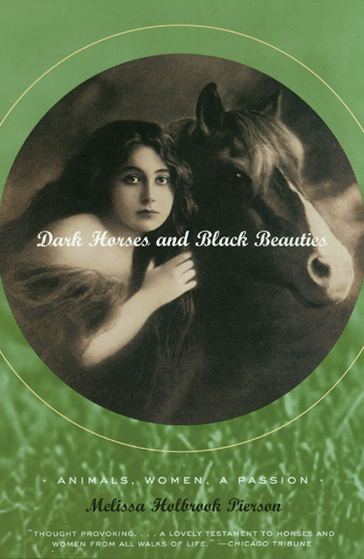 DARK HORSES and BLACK BEAUTIES ANIMALS WOMEN A PASSION Melissa Holbrook - photo 1