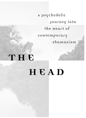 Breaking open the head a psychedelic journey into the heart of contemporary shamanism - image 3