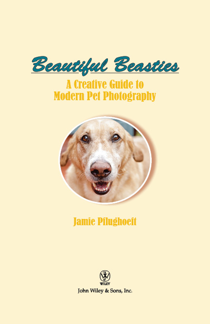 Beautiful Beasties A Creative Guide to Modern Pet Photography Published by John - photo 1