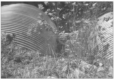 A foot was visible in the brush just off a dirt road in York County South - photo 3