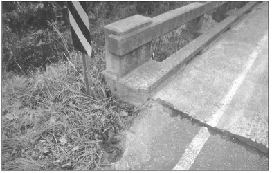 A red shirt was discovered beside a bridge on the North CarolinaSouth Carolina - photo 5