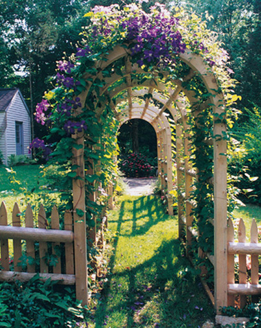 One traditional use of arbors is to create fragrant light-dappled tunnels to - photo 12