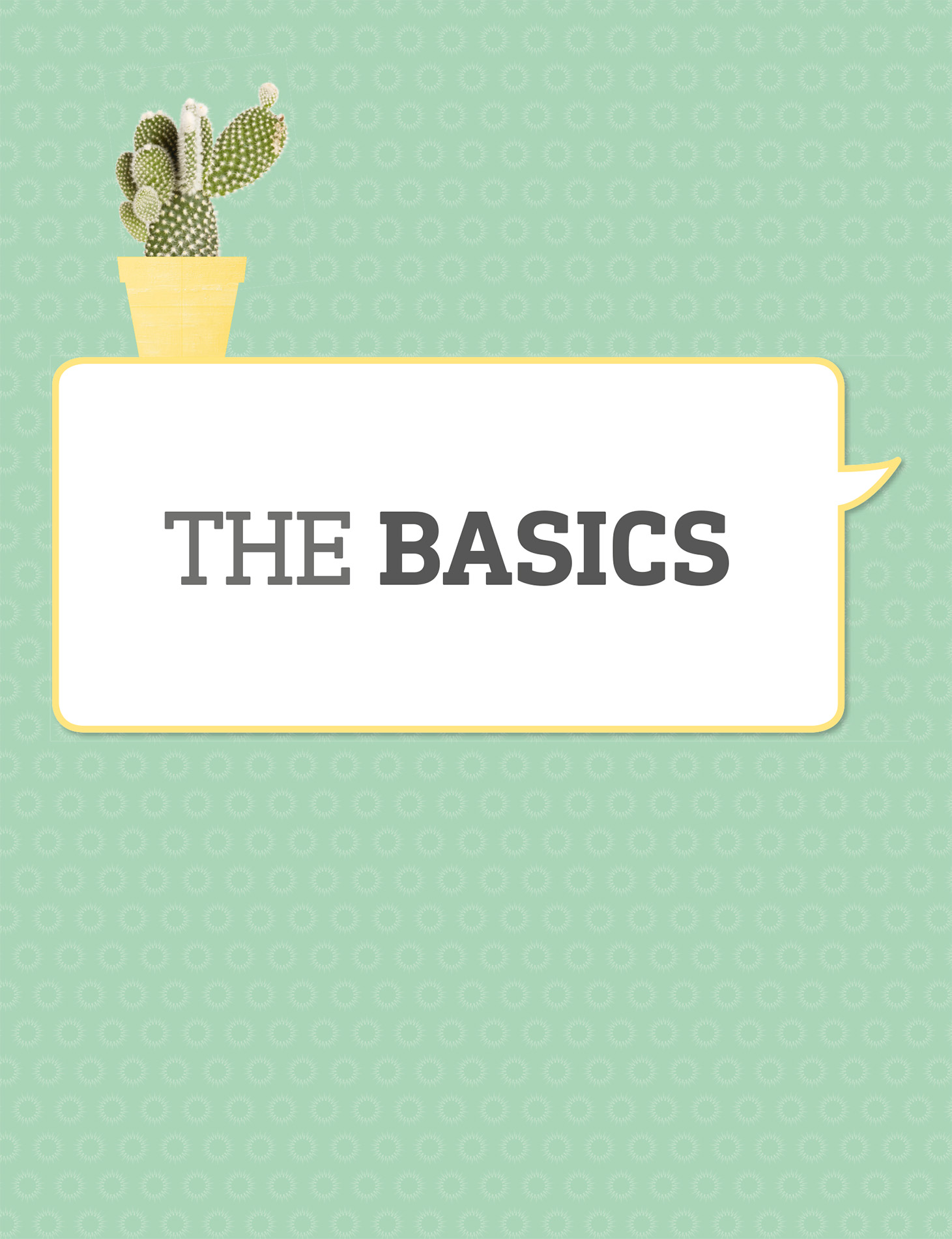 MYTH-BUSTING To help you better understand your cactus or succulent and to - photo 2