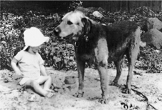 Me and Byng He was christened after another shaggy old Airedale Field Marshal - photo 3