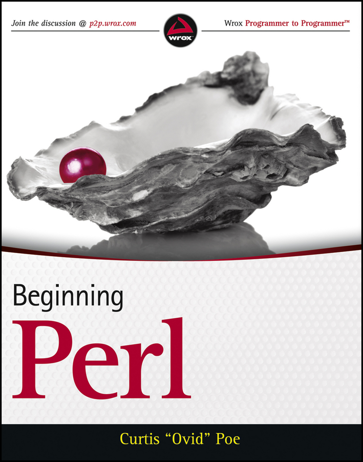 CONTENTS Beginning Perl Published by John Wiley Sons Inc 10475 - photo 1