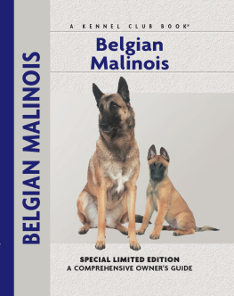 Pollet - Belgian Malinois