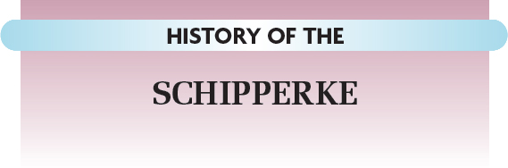 As with many breeds the origin of the Schipperke nicknamed the Schip or - photo 13