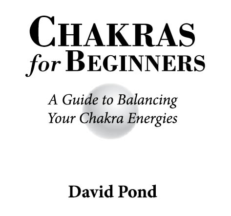 Llewellyn Publications Woodbury Minnesota Chakras for Beginners 1999 by - photo 2