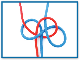 Form a loop on the left with the red strand then bring it under the blue - photo 15