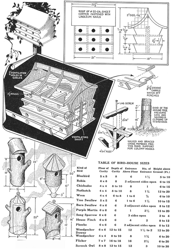 TABLE OF BIRD-HOUSE SIZES Boomerangs are Fun When made - photo 7