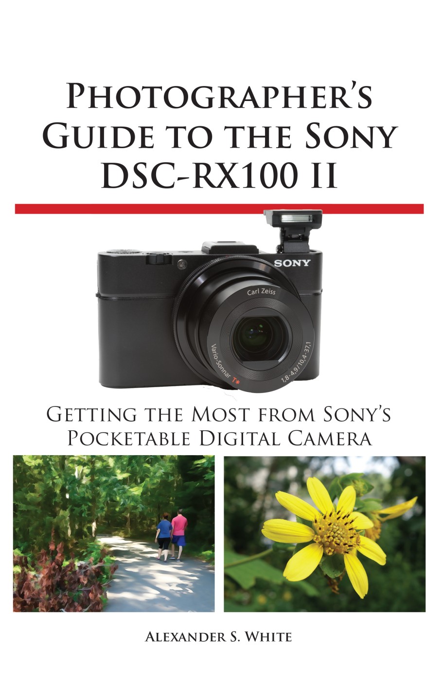 Photographers Guide to the Sony DSC-RX100 II Getting the Most from Sonys - photo 1