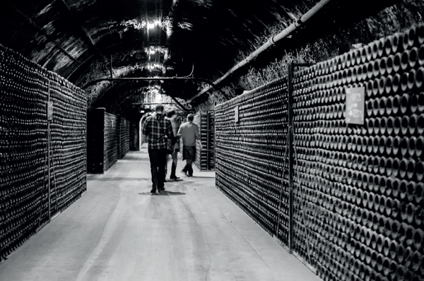 Exploring the Champagne Bollinger cellars Today thats changing Sommeliers - photo 3