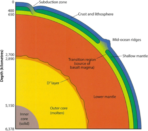 The internal regions of the Earth A thin crust overlays the mantle the Earths - photo 3
