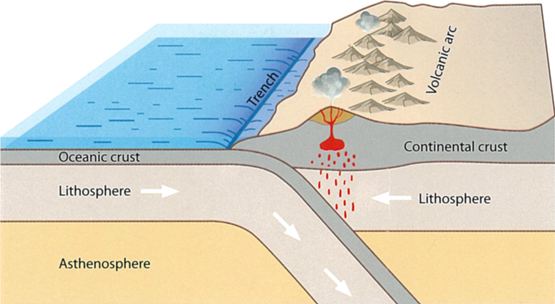 A The most important solidearth process subduction whereby oceanic floor is - photo 18