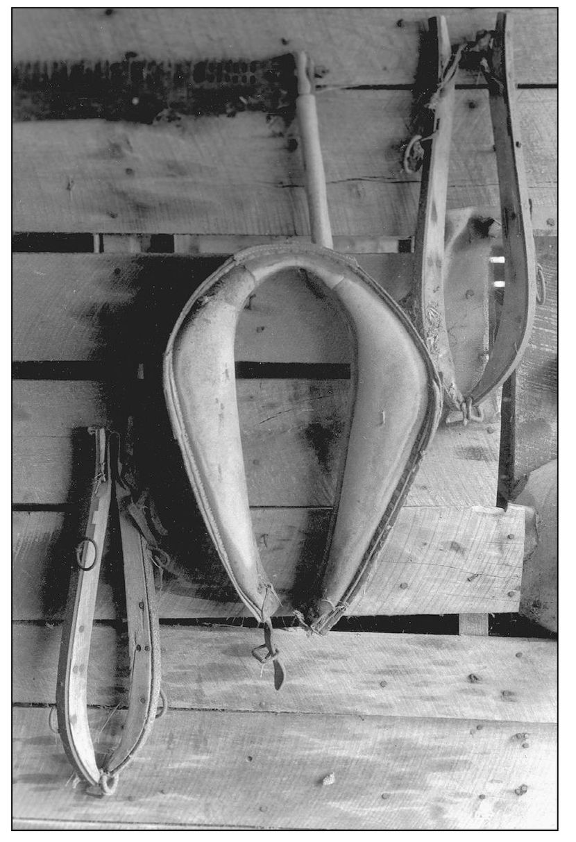 A horse collar hangs on the barn wall A light in the window of an old - photo 6