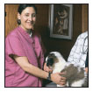 By Lowell Ackerman DVM DACVD Become your dogs healthcare advocate and a - photo 9