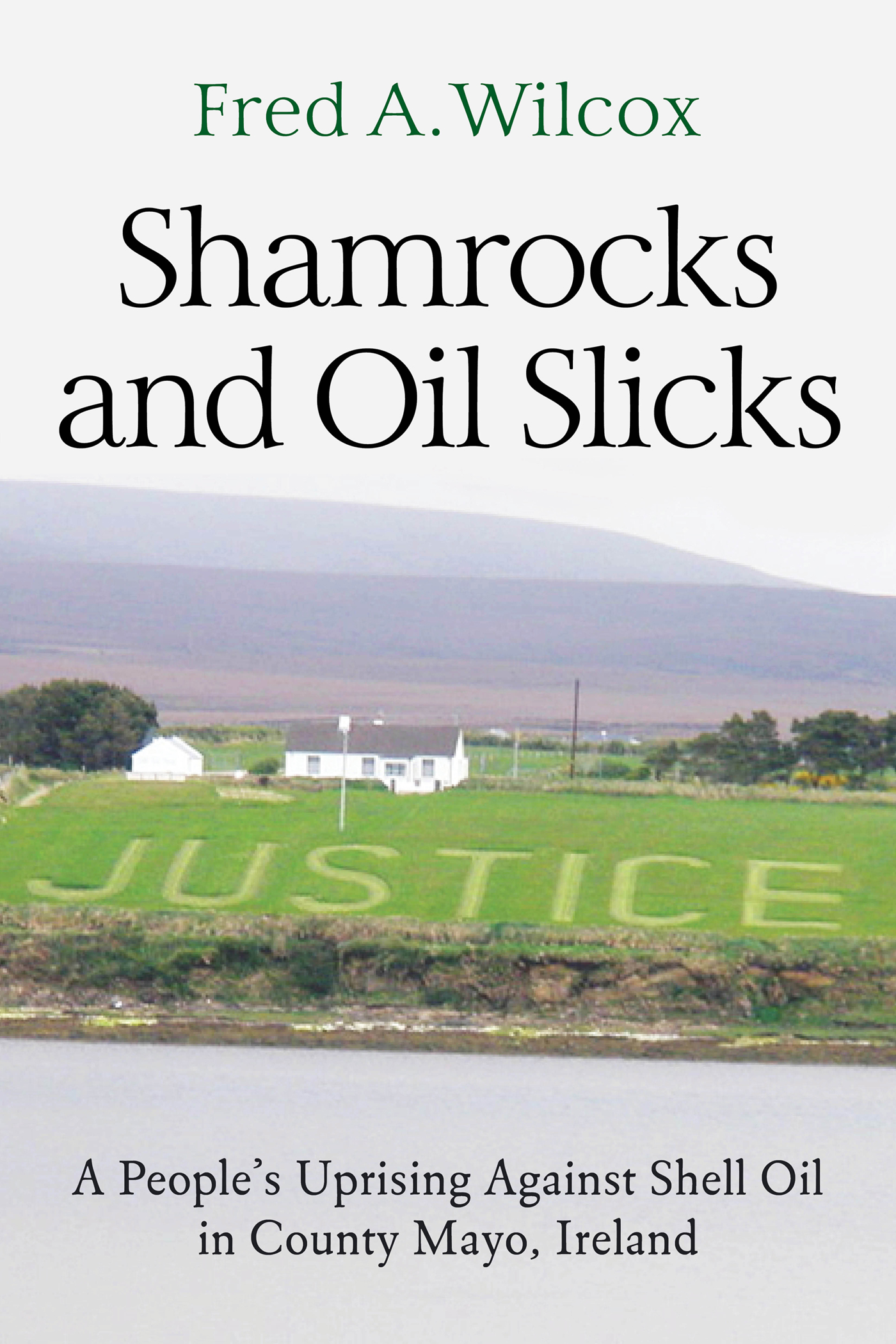 SHAMROCKS AND OIL SLICKS Shamrocks and Oil Slicks A Peoples Uprising Against - photo 1