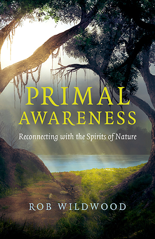 WHAT PEOPLE ARE SAYING ABOUT Primal Awareness Rob Wildwoods fascinating - photo 1