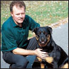 Rottweiler - image 4