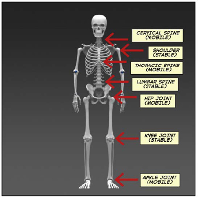 The first thing most golfers think of when they hear flexibility or mobility is - photo 2