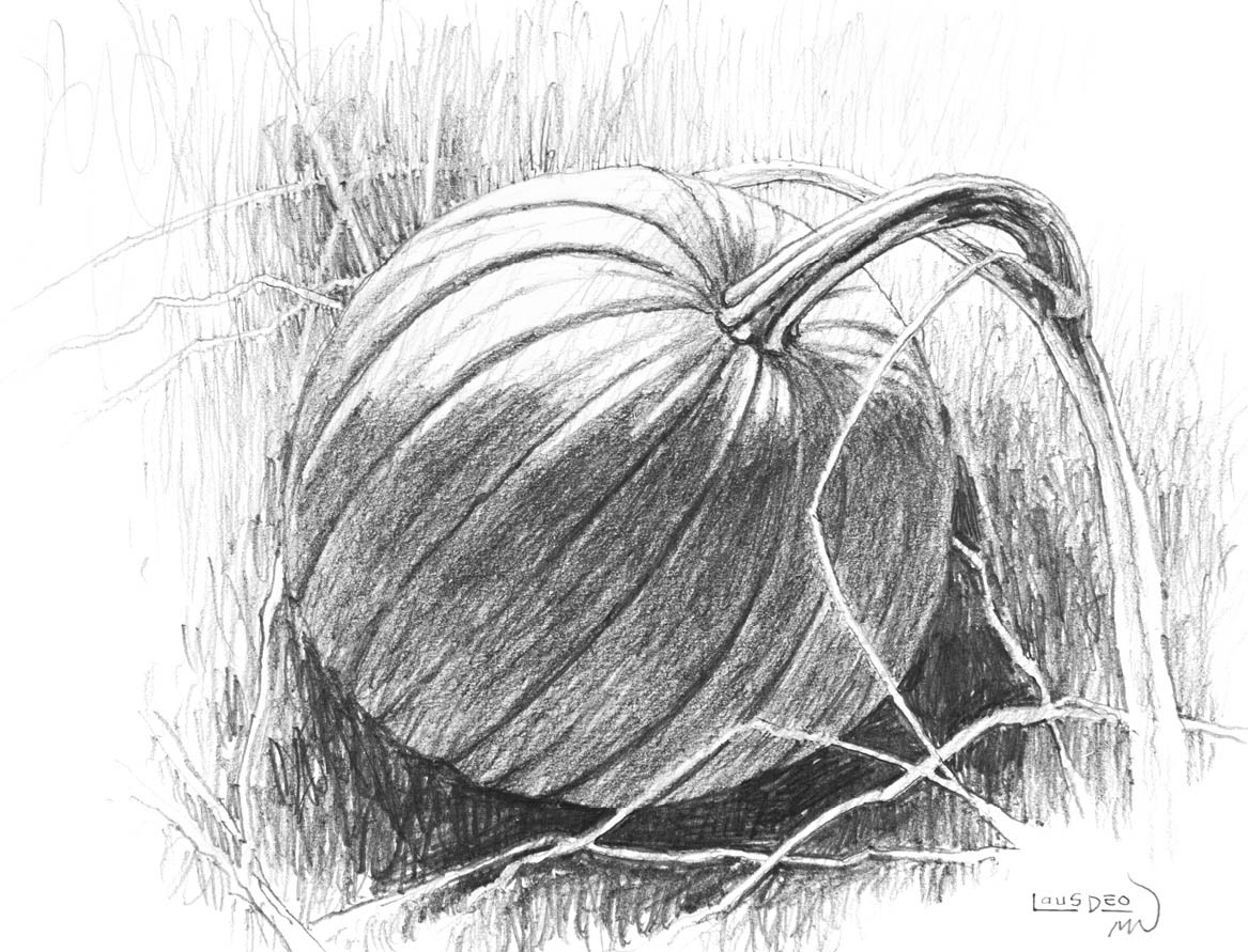 Pumpkin Graphite pencil on drawing paper 8 11 22cm 28cm Materials - photo 4