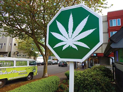 marijuana store the Seattle Great Wheel lit in Seahawks colors - photo 8