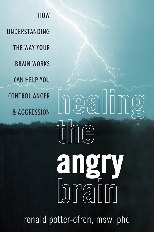 A powerful application of recent brain science to the field of anger - photo 1