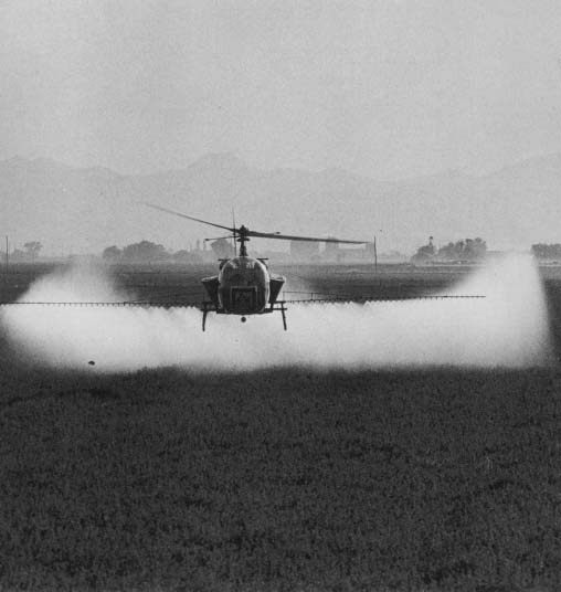 Helicopter spraying agricultural insecticide near Phoenix Harvesting barley - photo 12