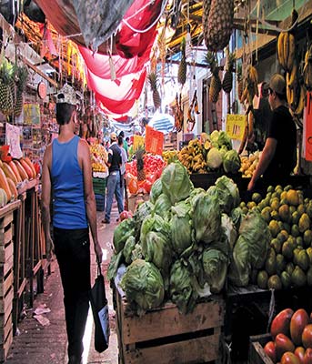 Mridas Mercado Municipal Hammocks are used instead of traditional beds in - photo 9